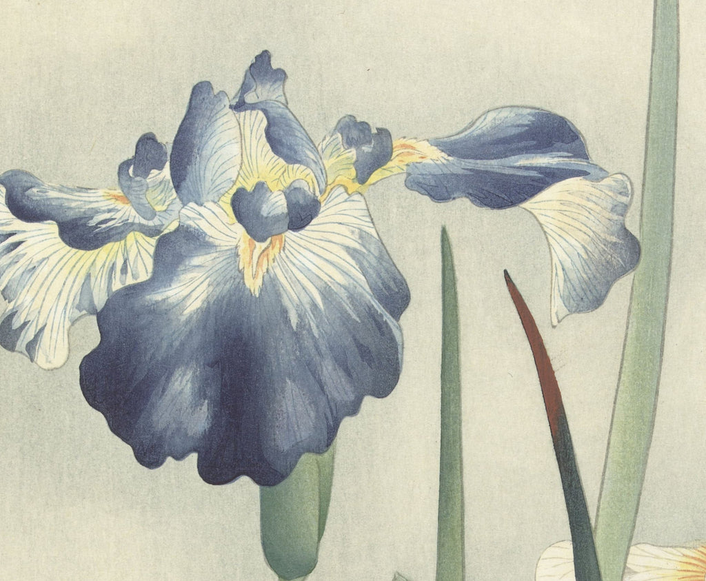 Ohara Koson Japanese Fine Art Print, Irises