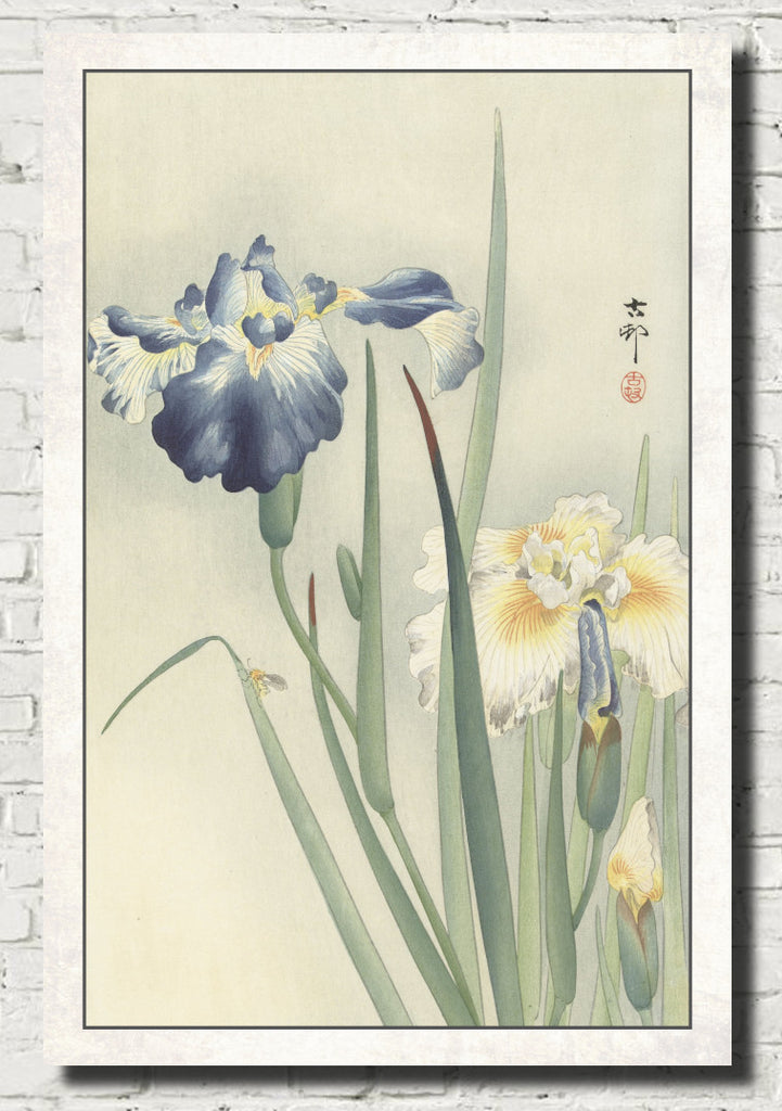 Ohara Koson Japanese Fine Art Print, Irises