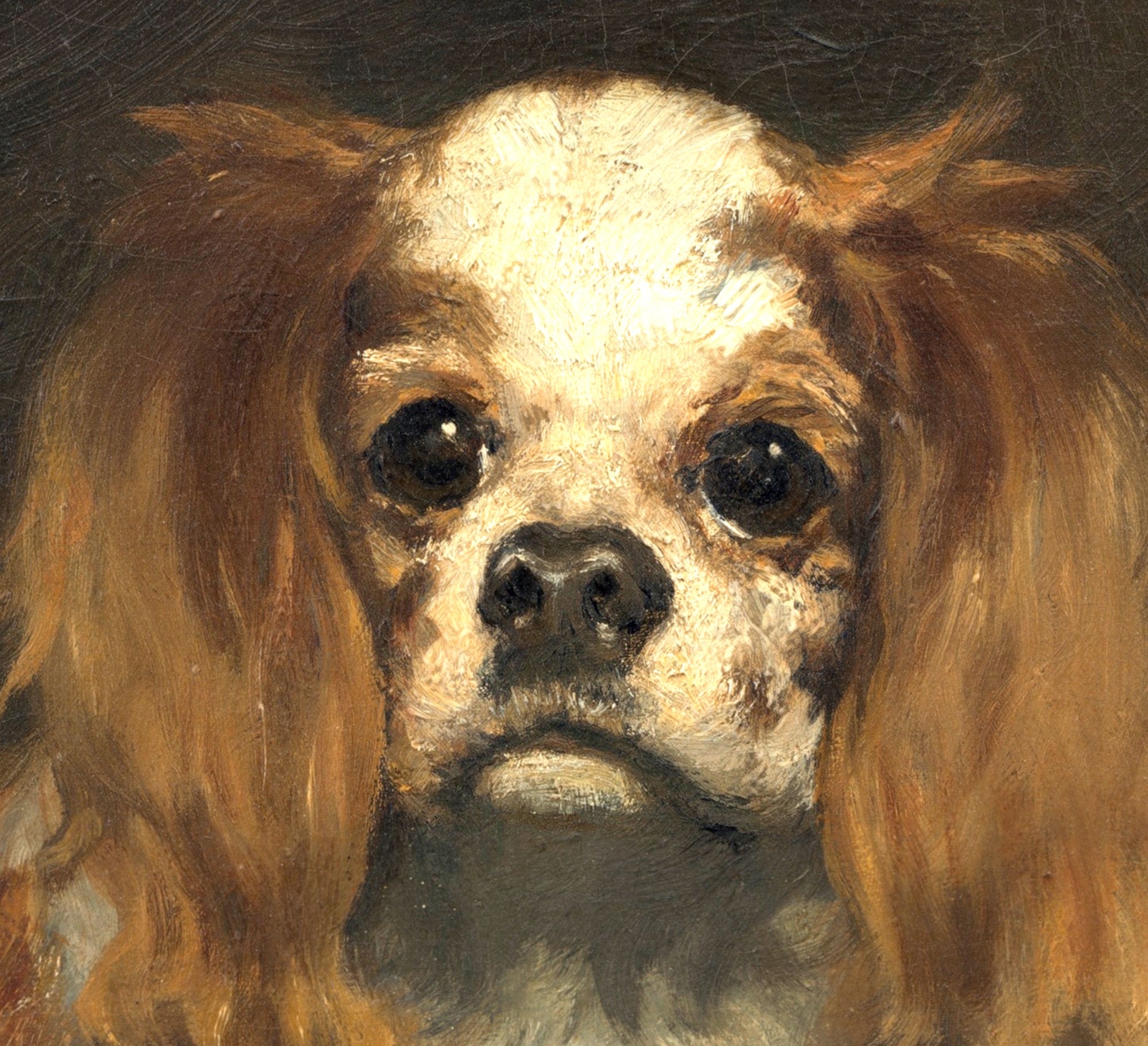 Édouard Manet, French Impressionist Fine Art Print : King Charles Spaniel