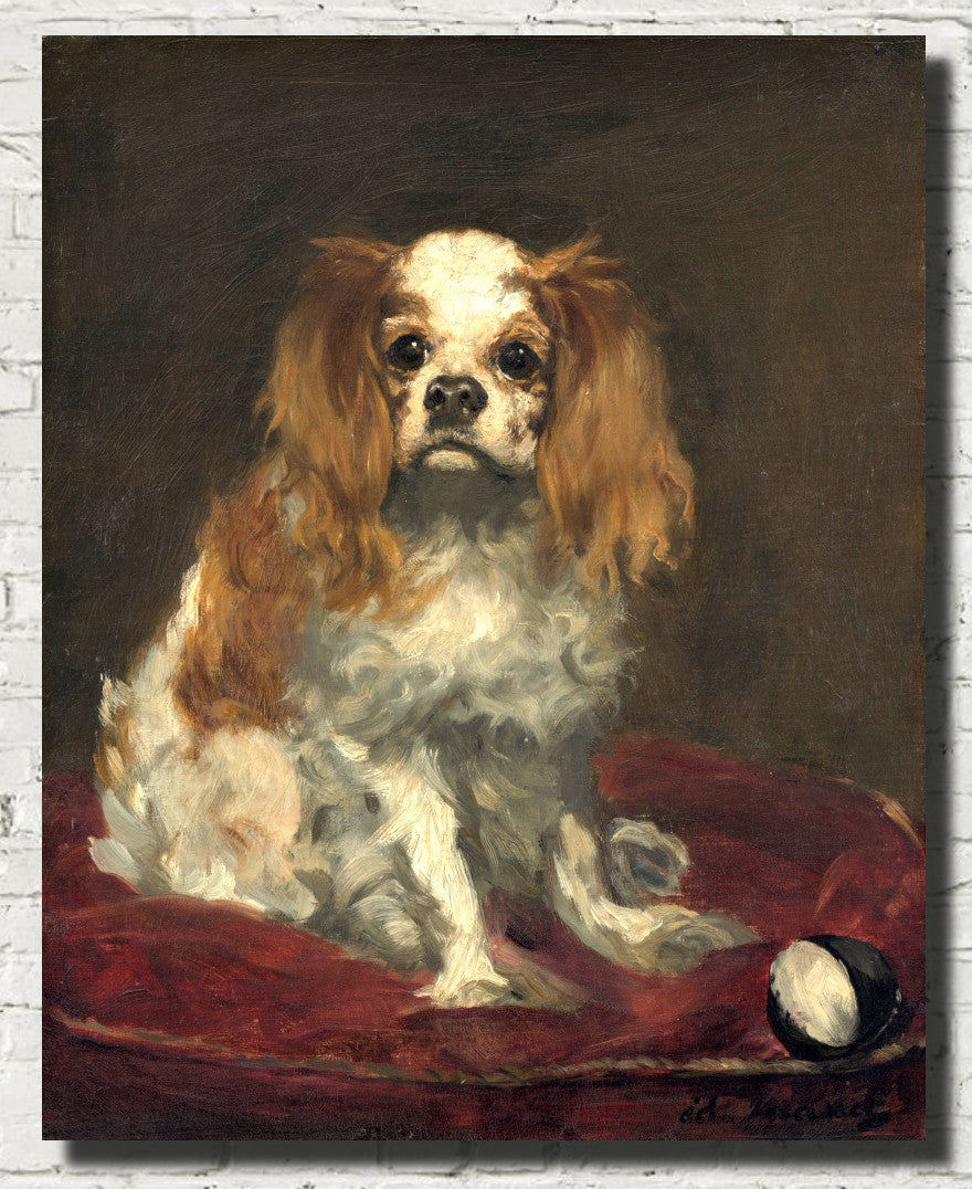 Édouard Manet, French Impressionist Fine Art Print : King Charles Spaniel