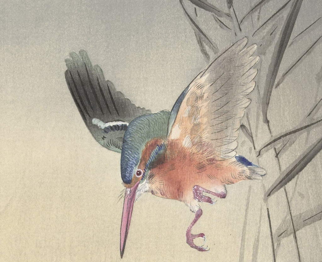 Ohara Koson Japanese Fine Art Print, Kingfisher hunting for fish