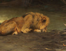 Friedrich Wilhelm Kuhnert Fine Art Print, Lion at the Watering Hole