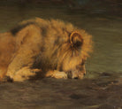 Friedrich Wilhelm Kuhnert Fine Art Print, Lion at the Watering Hole