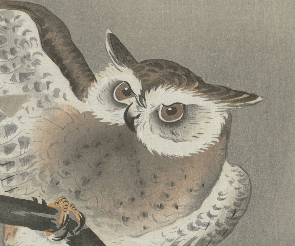 Ohara Koson Japanese Fine Art Print, Long-eared owl in ginkgo