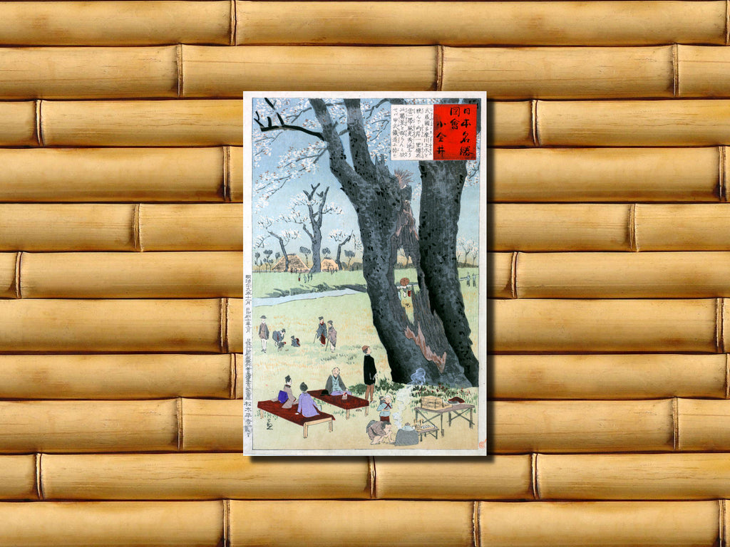 Kobayashi Kiyochika, Japanese Art Print : One Hundred Views of Musashi, 13