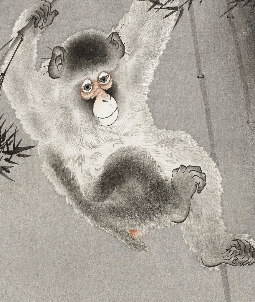 Monkey Hanging from Bamboo Japanese Fine Art Print, Ohara Koson - GalleryThane.com