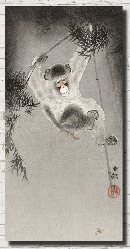 Monkey Hanging from Bamboo Japanese Fine Art Print, Ohara Koson - GalleryThane.com