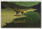 Frederic Remington, Fine Art Print : Moonlight Wolf
