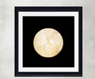 Hilma Af Klint Abstract Framed Art Print, No 14 Swan