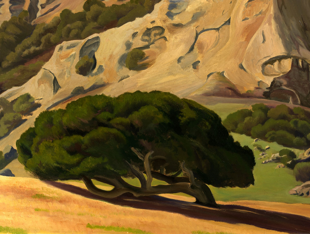 Oaks and Rocks, San Luis Obispo, Edward Bruce Fine Art Print