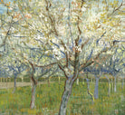 Vincent Van Gogh Fine Art Print, Orchard with Blossoming Apricot Trees