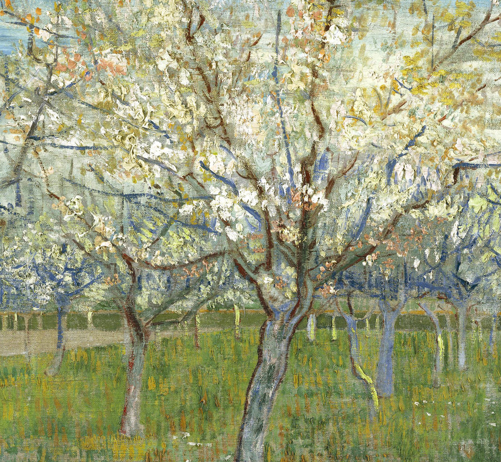 Vincent Van Gogh Fine Art Print, Orchard with Blossoming Apricot Trees