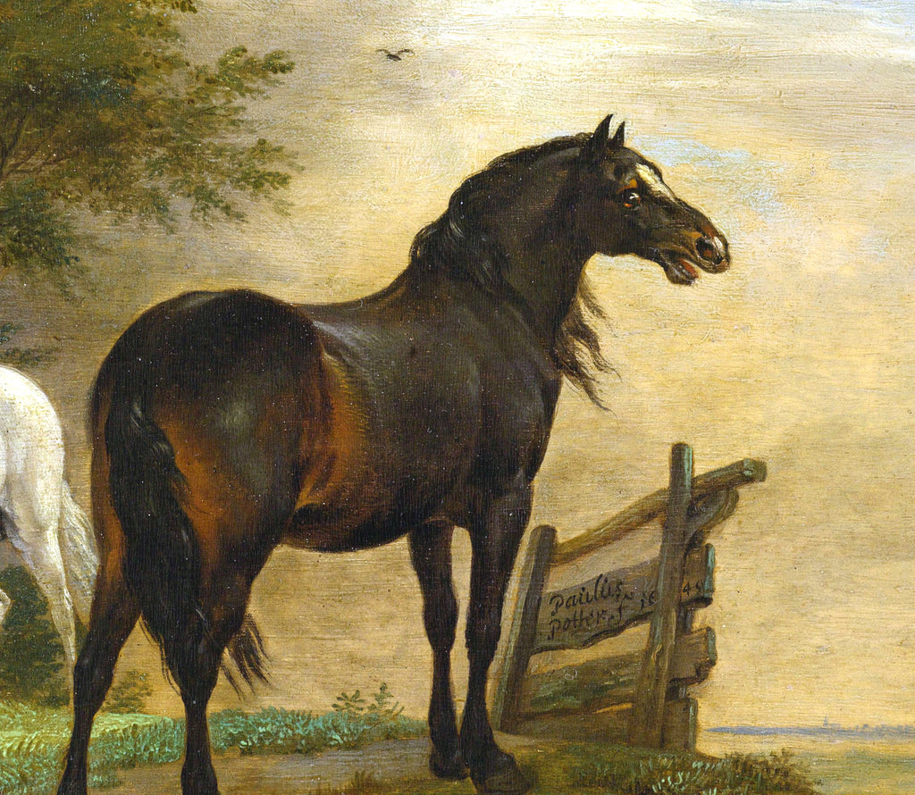 Paulus Potter Fine Art Print, Horses