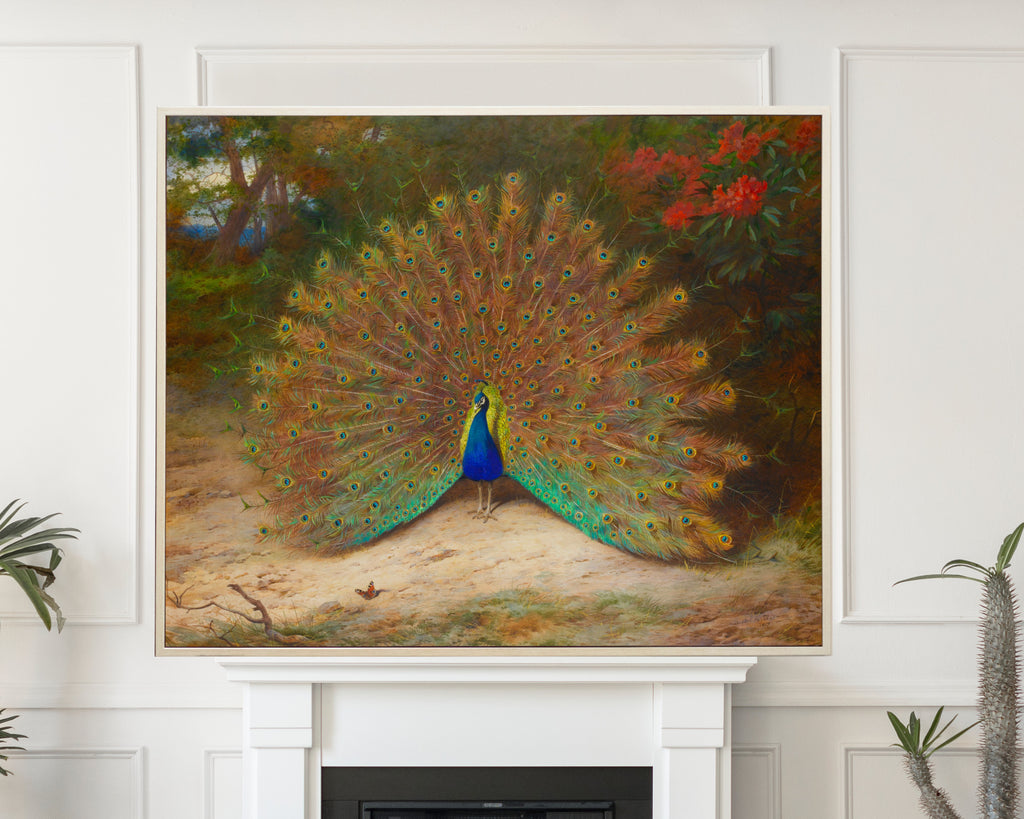 Peacock And Peacock Butterfly, Archibald Thorburn, Birds Print