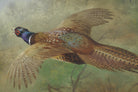 Pheasant In Flight, Archibald Thorburn, Birds Print