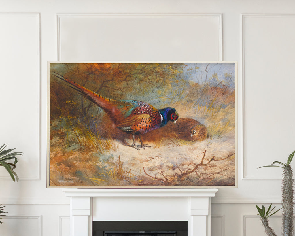 Pheasants, Archibald Thorburn, Birds Print