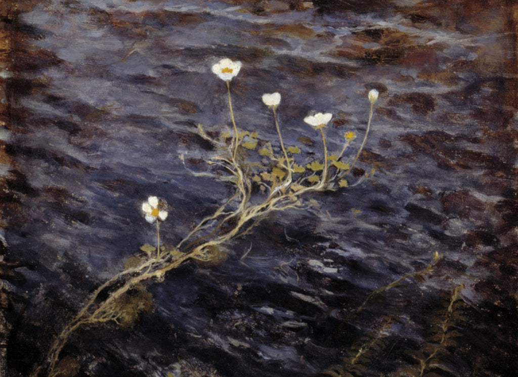 Eero Järnefelt Fine Art Print, Pond Water, Crowfoot