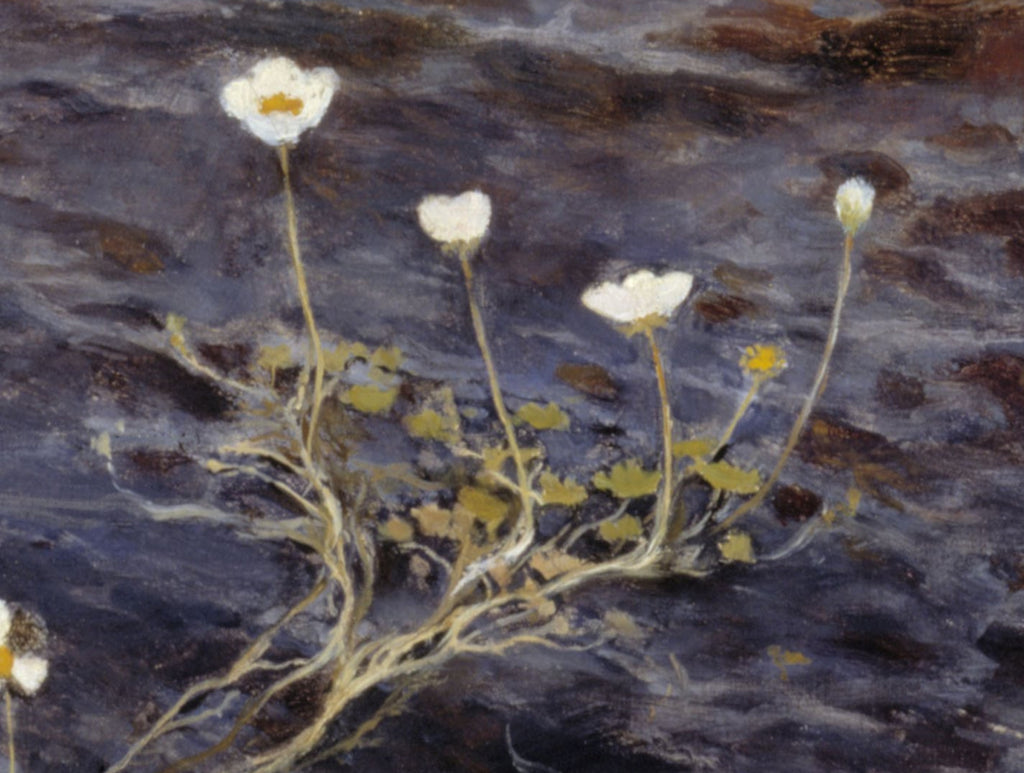Eero Järnefelt Fine Art Print, Pond Water, Crowfoot