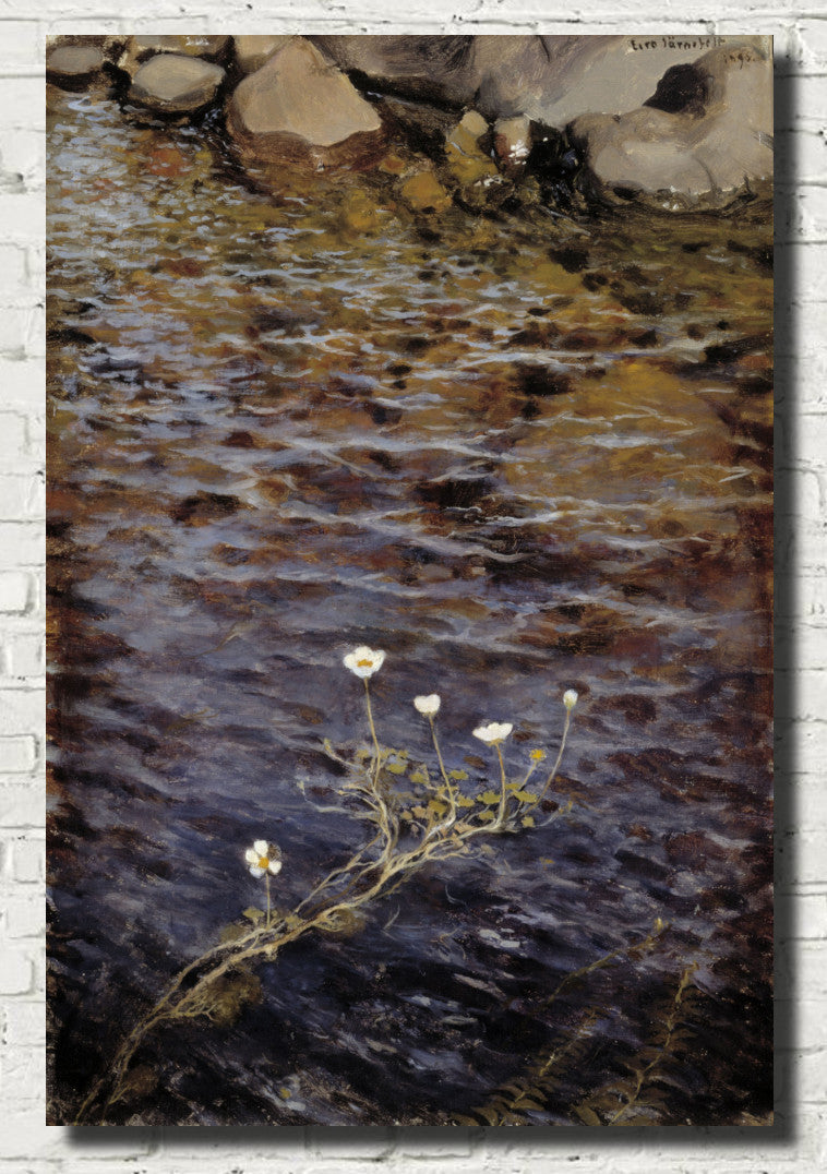 Eero Järnefelt Fine Art Print, Pond Water, Crowfoot