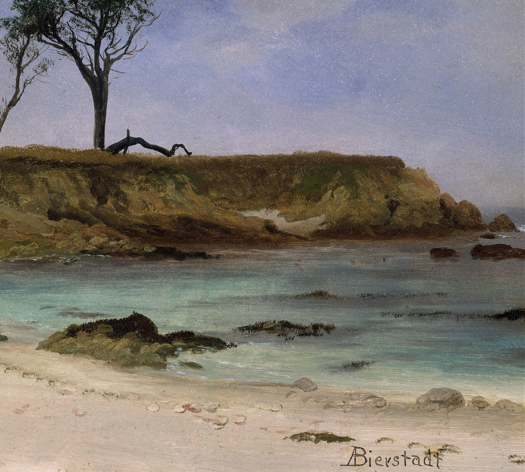 Sea Cove, Albert Bierstadt, Landscape Print