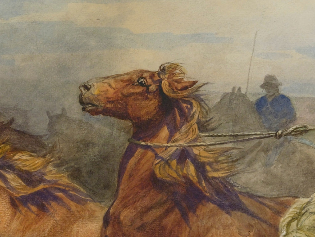 Separating A Stallion, Henry Enrico Coleman Fine Art Print
