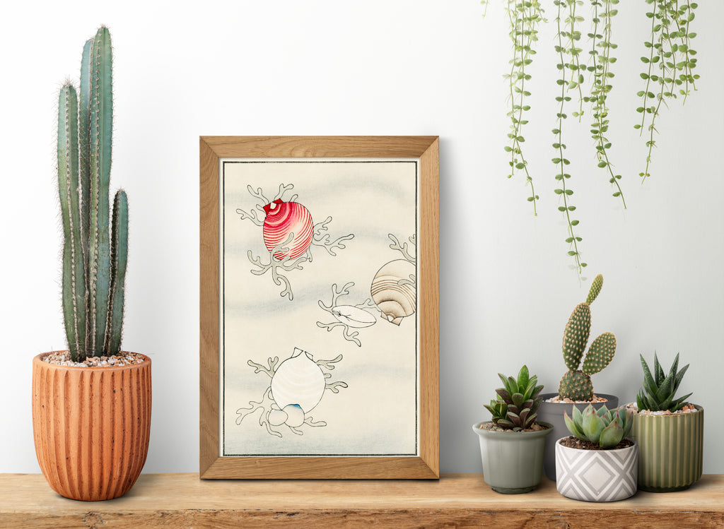 Shell Fish, Japanese illustration, Watanabe Shōtei Print