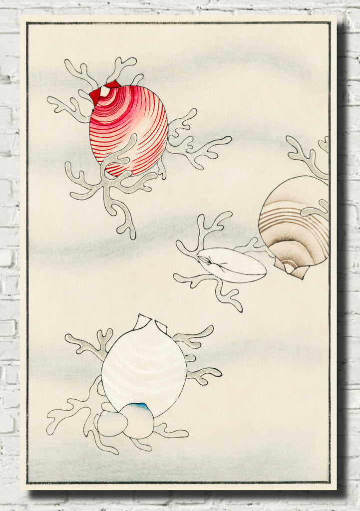 Shell Fish, Japanese illustration, Watanabe Shōtei Print