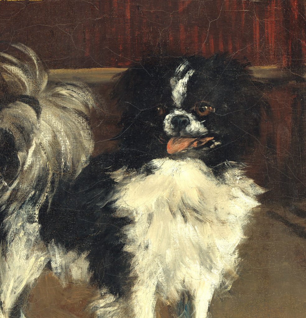 Édouard Manet, French Impressionist Fine Art Print : Tama, The Japanese Dog