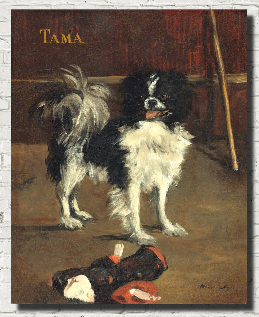 Édouard Manet, French Impressionist Fine Art Print : Tama, The Japanese Dog
