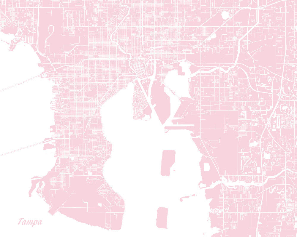 Tampa City Street Map Print Feature Wall Art Poster