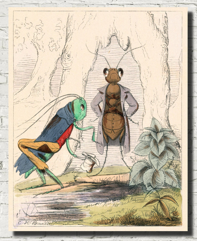 The Ant And The Grasshopper, Human Nature Illustration, Charles H Bennett