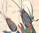 The Lobster And His Mother, Human Nature Illustration, Charles H Bennett