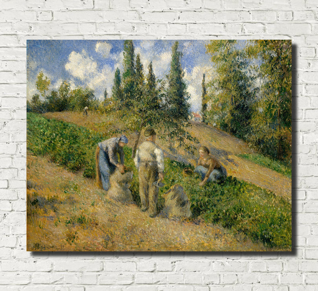 Camille Pissarro Fine Art Print The Harvest, Pontoise Impressionist Painting
