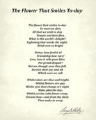 The Flower That Smiles To-day, Poem by Percy Bysshe Shelley, Typography Print