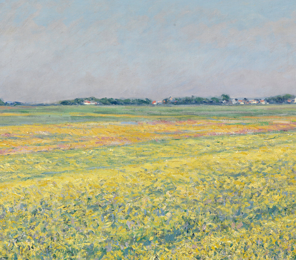 Gustave Caillebotte Fine Art Print : The plain of Gennevilliers, yellow fields