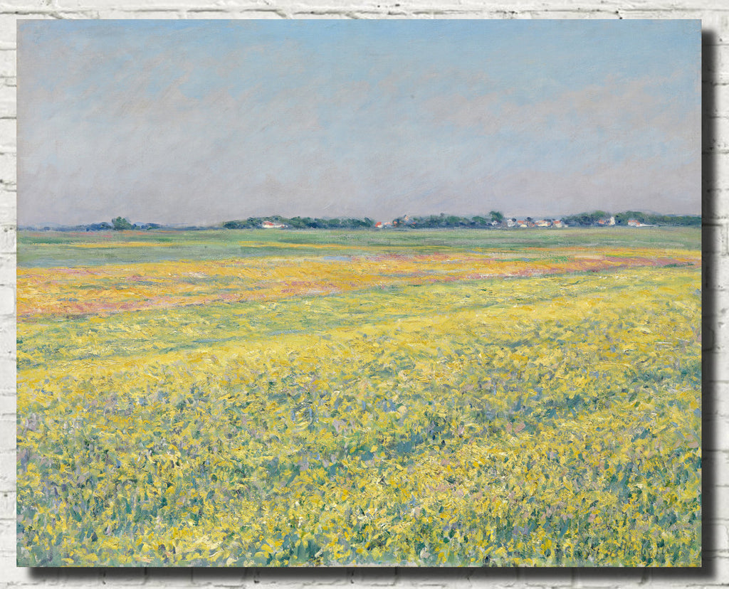 Gustave Caillebotte Fine Art Print : The plain of Gennevilliers, yellow fields