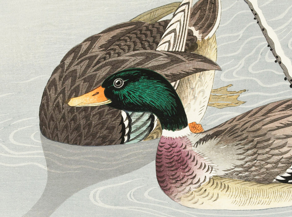 Two Mallard Ducks JAPANESE FINE ART PRINT, OHARA KOSON - GalleryThane.com