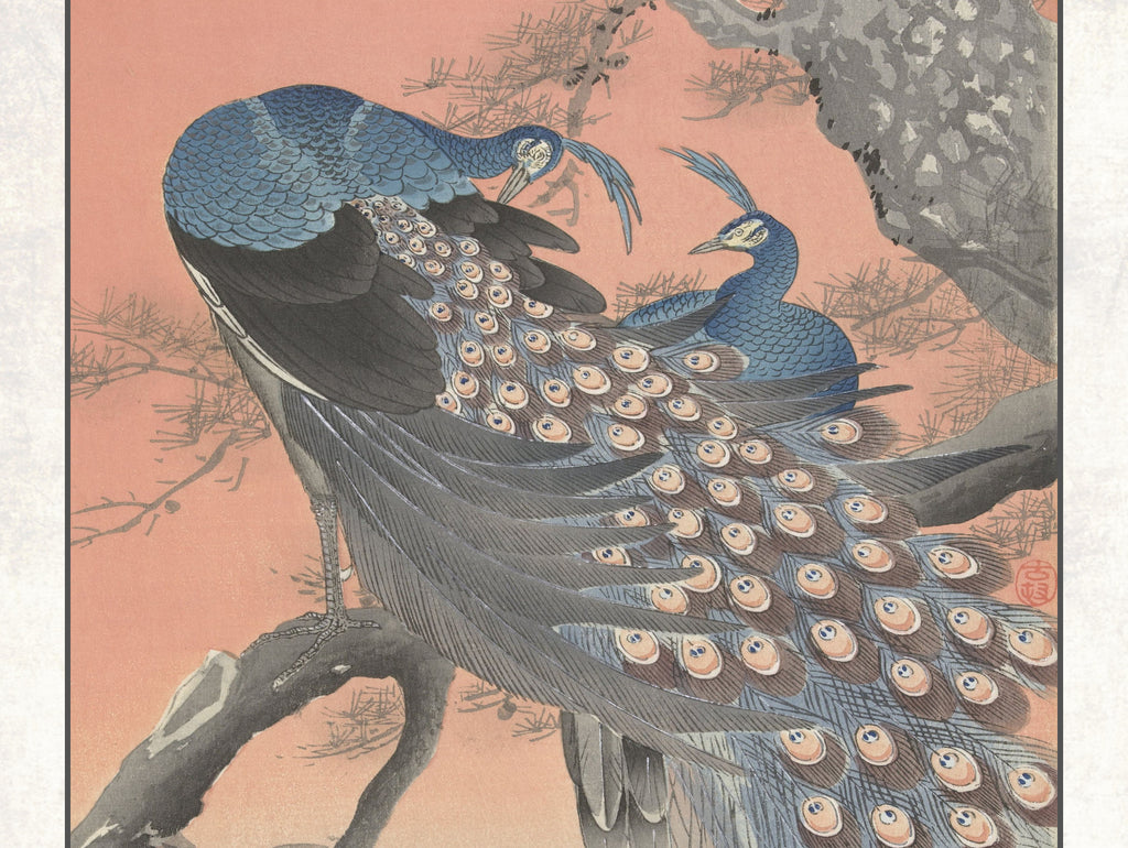 Ohara Koson Japanese Fine Art Print, Two peacocks on tree branch