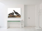 Velvet Duck Illustration Print Vintage Bird Sketch Art 0487