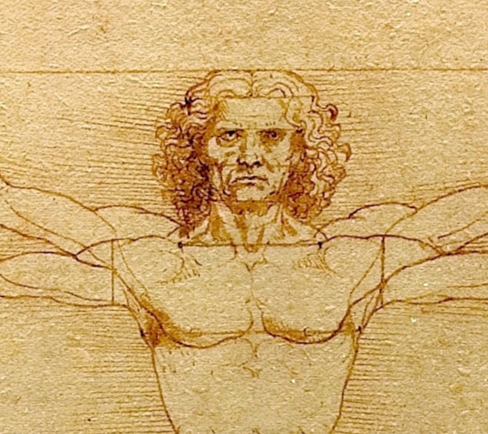 Leonardo da Vinci Fine Art Print, Vitruvian Man