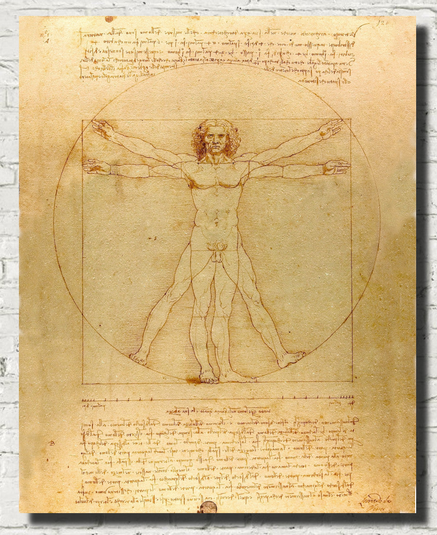 Leonardo da Vinci Fine Art Print, Vitruvian Man