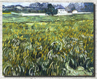 Vincent Van Gogh Fine Art Print, Wheat Field at Auvers with White House