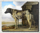 Paulus Potter Fine Art Print, Wolf-Hound