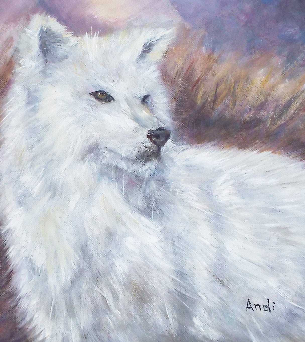 arctic wolf original framed painting