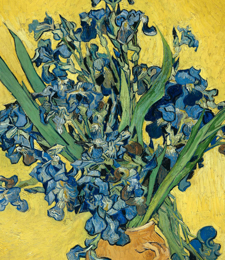 Vincent Van Gogh Fine Art Print, Vase with Irises