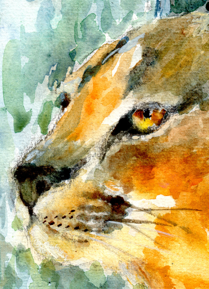 Caracal Watercolour Print, Andi Lucas Wildlife Art