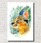 Caracal Watercolour Print, Andi Lucas Wildlife Art