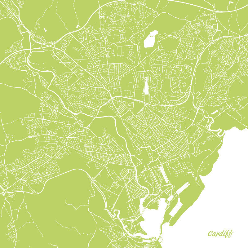 Cardiff City Street Map Print Custom Wall Map