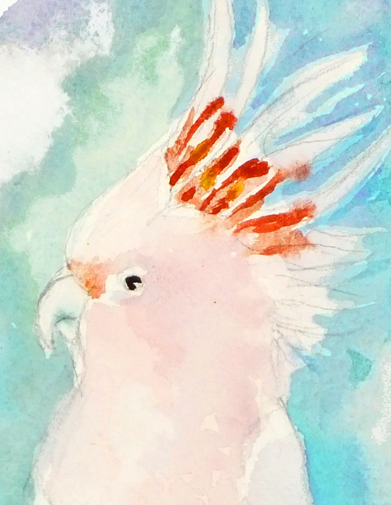 Cockatoo Watercolour Print, Andi Lucas Wildlife Art