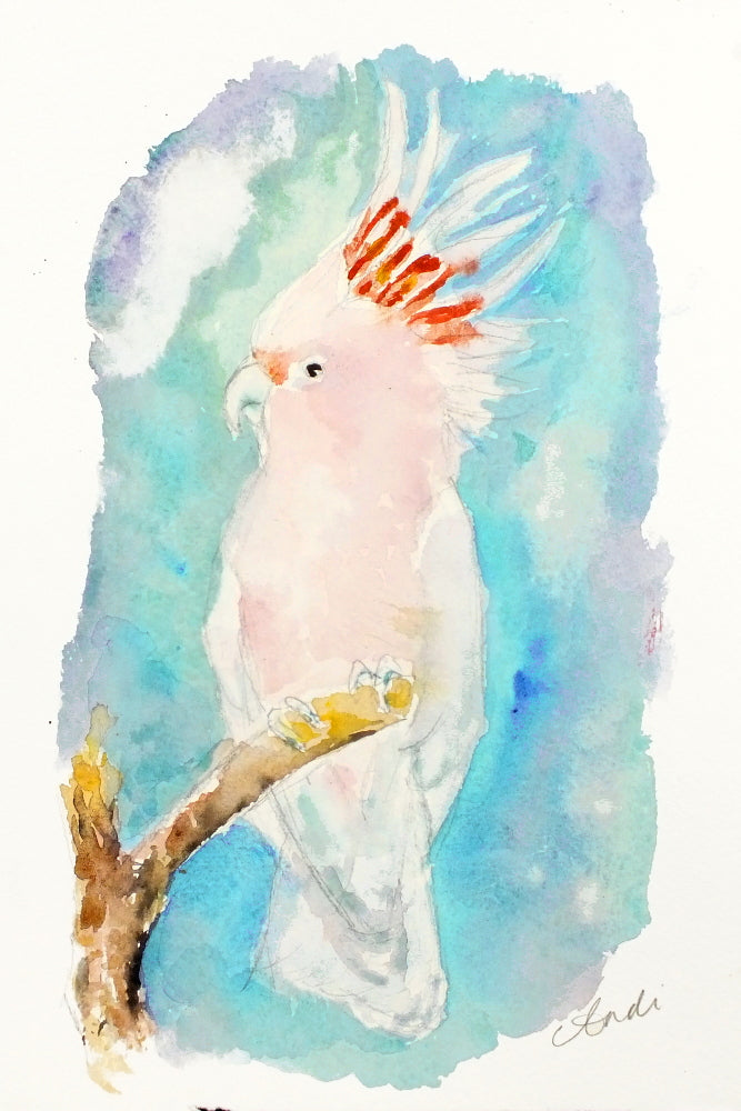 Cockatoo Watercolour Print, Andi Lucas Wildlife Art